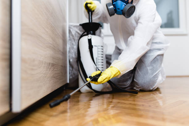 Best Pest Control Cost  in Cana, VA