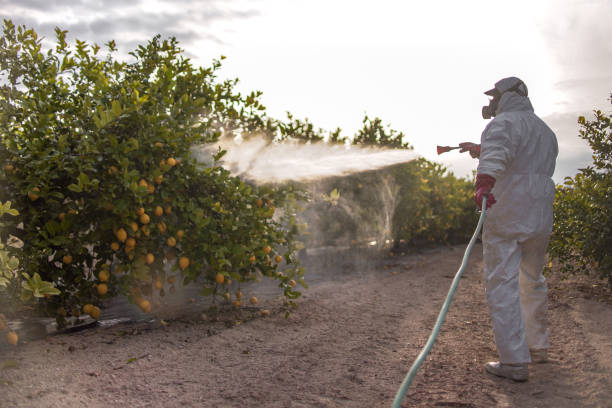 Professional Pest Control in Cana, VA