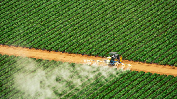 Insect Control in Cana, VA