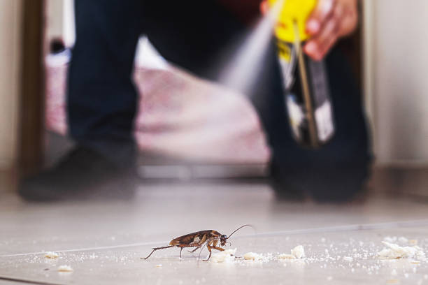 Best Pest Control for Businesses  in Cana, VA